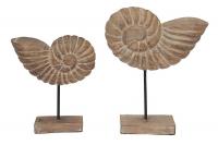 Декор Secret De Maison Раковины 8541 (2 шт.) (Натуральный) Декор Secret De Maison Раковины 8541 (2 шт.) (Натуральный)