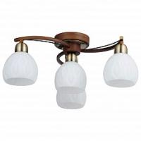 Потолочная люстра Lussole Kstall LSP-0044 фото Потолочная люстра Lussole Kstall LSP-0044