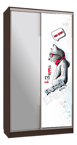 Рио 9-600 Энерджи (полки справа) венге. Фото №1