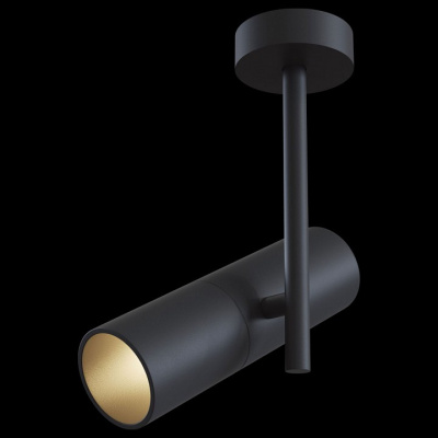 Светильник на штанге Maytoni Elti C020CL-01B. Фото