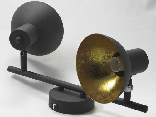 Спот Lussole Louisville LSP-9974 фото Спот Lussole Louisville LSP-9974. Фото №2