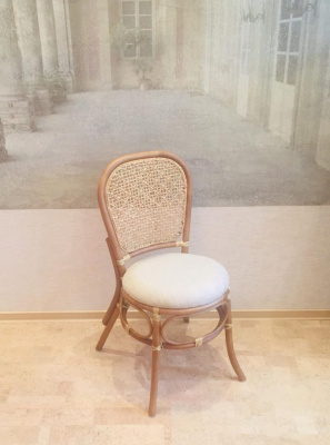 Стул 04/19. Фото