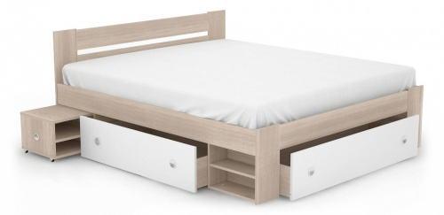 Стелла Кровать 160 Дуб сонома/Белый. Фото №1