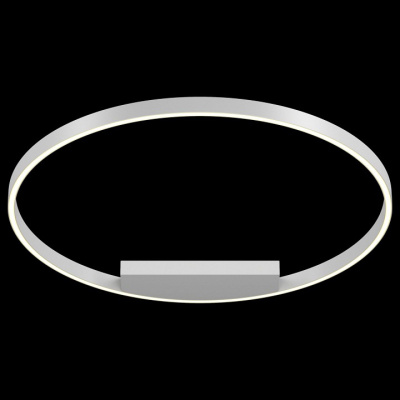 Накладной светильник Maytoni Rim MOD058CL-L50W4K. Фото №2